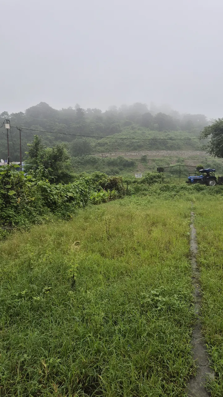 थानो चौक, जॉलीग्रांट एयरपोर्ट के पास 1000 गज का रोड साइड प्लॉट | छोटे प्लॉट भी उपलब्ध